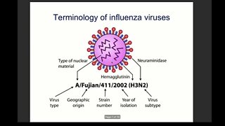 Influenza Full Lecture