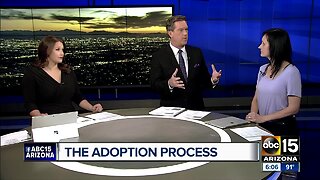 What should people interested in adoption look out for?