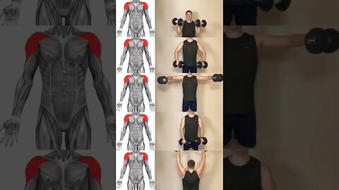 Get strong shoulders at home with just a few weights