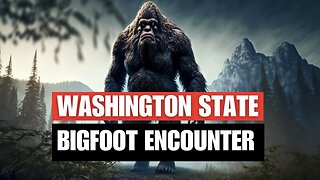 Bigfoot Encounter Stories: Class A Encounter From Washington State