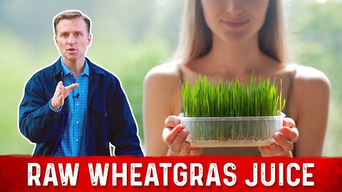 Wheatgrass Juice Powder and Mineral-Rich Soils – Dr. Berg’s Interview