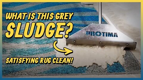 I Just Couldn't Get This Rug Clean ! 🙁