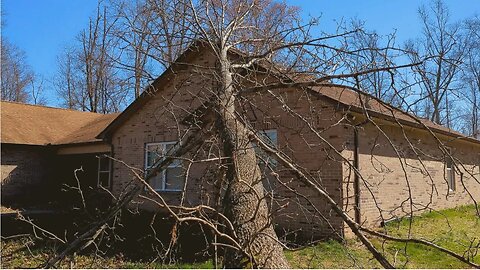 Emergency Tree Removal From House Roof Damage, Hurricane Force Winds