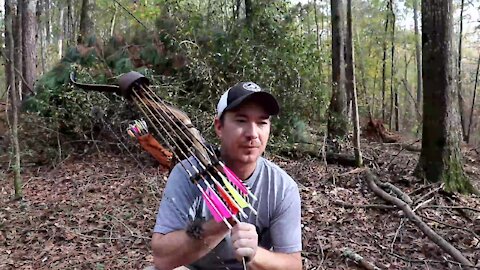Best Traditional Style Bow / Survival Bow on a Budget