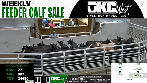 7/26/2023 - OKC West Feeder Calf Auction