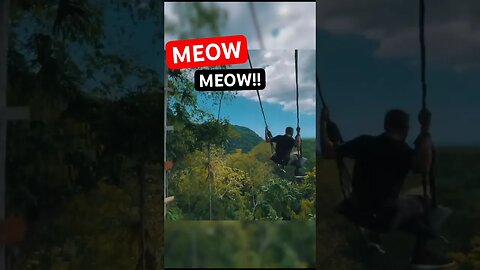 Let Out the Meow Meow! | 7 Mile Swing Jamaica TEASER! #shorts #travel #jamaica