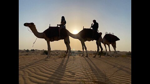 Riding Camels on a Dubai Desert Safari (UAE), Platinum Heritage