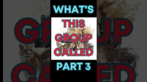 group of animal facts part 3 #short #facts #animals