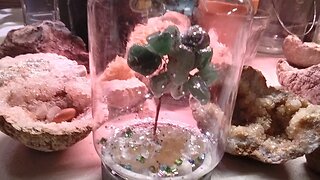 diy Amethyst tree hanging decor craft 6/26/2023.