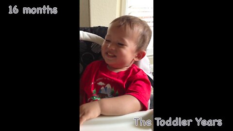 16-month-old loves The Grouchy Ladybug Story