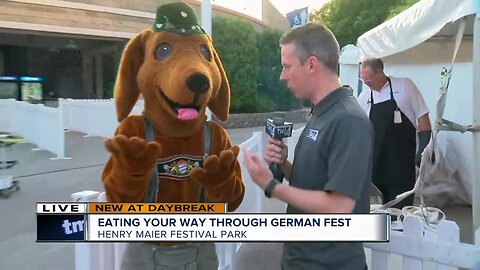 Fritzi helps us get ready for German Fest