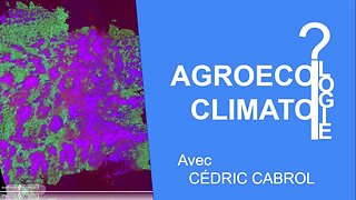 Agro-éco-climatologie : un printemps en hiver version longue, par Cédric Cabrol