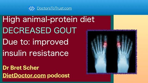 BRET SCHER | CLASSIC: High animal-protein diet DECREASED GOUT Due to: improved insulin resistance
