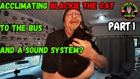 04-16-24 | Acclimating Blackie The Cat To The Bus, And A Sound System? | Part 1