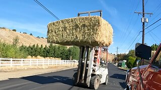Today is HAY Day!