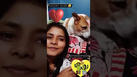 cute puppies cute | puppy videos | cute puppies shorts 51 | short vlogs 🐕#shorts #trendingvideo #dog