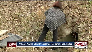 WOMAN WANTS DRAIN CLOSED AFTER DOG STUCK INSIDE
