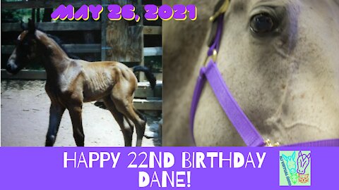 Happy 22nd BD to Dane 2021