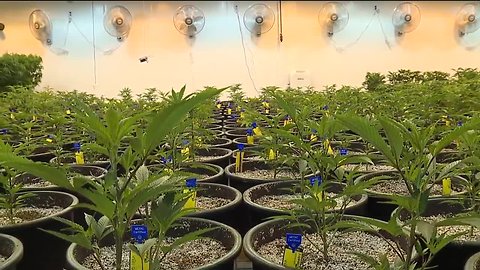 New ways to consume medical marijuana will soon be available to Ohio patients