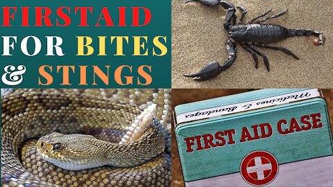 First Aid For Bites and Stings