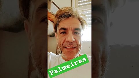 Palmeiras hoje porco oh oh