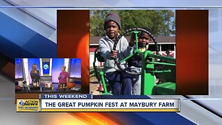 The Great Pumpkin Fest at Maybury Farm