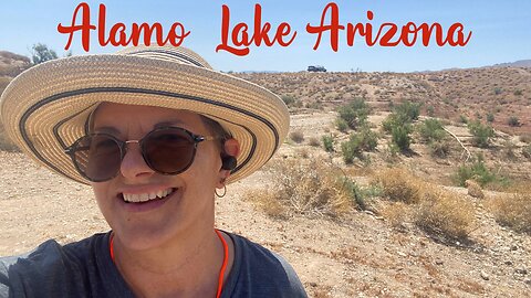 FIOTM 74 - The 3-Month Adventure on the Road: Alamo Lake, Donkeys, and DIY Repairs"
