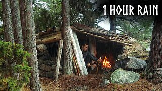 🌧️Camping in RELAXING RAIN: 1 Hour of Rain & Nature Sounds for Sleep and Calm