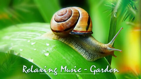 Relaxing music with peaceful garden sounds