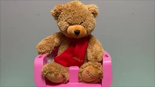 Hamleys Teddy Bear