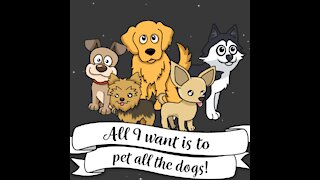 Pet All The Dogs [GMG Originals]