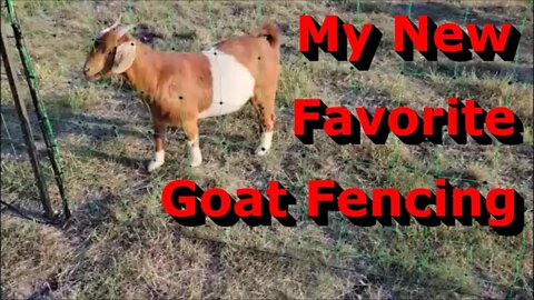 Check This Out! - Why I Love This Goat Fencing - Electric Fence Netting