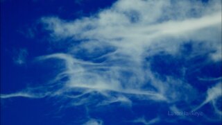 Crazy Cloud Cam | Image Set 045 | Magic Carpet