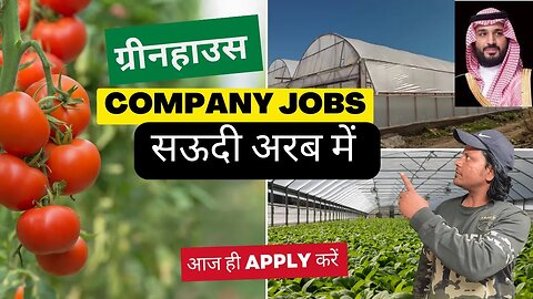 ग्रीनहाउस कंपनी में नौकरी के लिए आवेदन कैसे करें? Greenhouse Company Jobs in Saudi Arabia | Gulf job