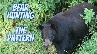 Bear Hunting | The Pattern Revealed