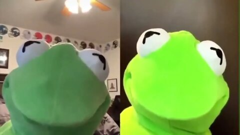 Kermit on Tiktok FUNNIEST VIDEOS