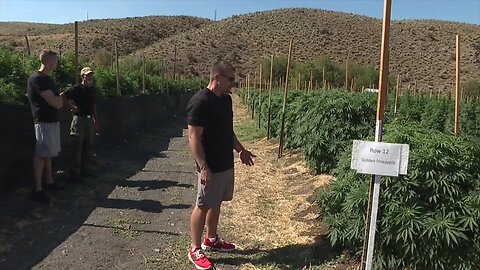 Marijuana industry continues to evolve in eastern Oregon