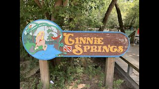 Ginnie Springs Scuba Diving Sept 26 2020 Excerpts from DavesDiveVideos