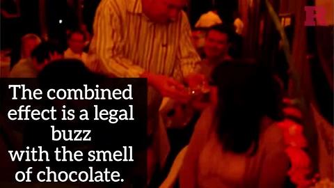 Chocolate Sniffing Fad in Europe.MP4