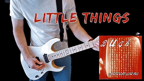 Bush - Little Things - Guitar Cover