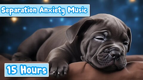 15 HOURS of Deep Separation Anxiety Music for Dog Relaxation! Helped Millions Dogs Worldwide!