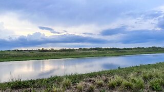 LIVE INVESTIGATION: SOUTH FLORIDA SWAMP