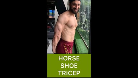 BUILD HORSE SHOE TRICEP | Tricep Workout #shorts