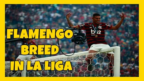 Revealed by Flamengo, it is announced by a great Spanish club.