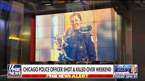 Kayleigh McEnany: Slain Chicago Cop ‘Did a Heck of a Lot More’ for America Than Cori Bush