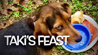 Taki’s 2023 Thanksgiving Feast