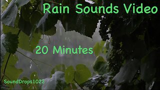 20-Min Rain Meditation: Calm Break