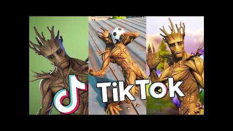 Fortnite WTF Gameplay Compilation with tik toks 2