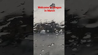 Welcome to Oregon #rain #hailstorm