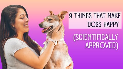 9 Things That Make Dogs Happy (Scientifically Approved)